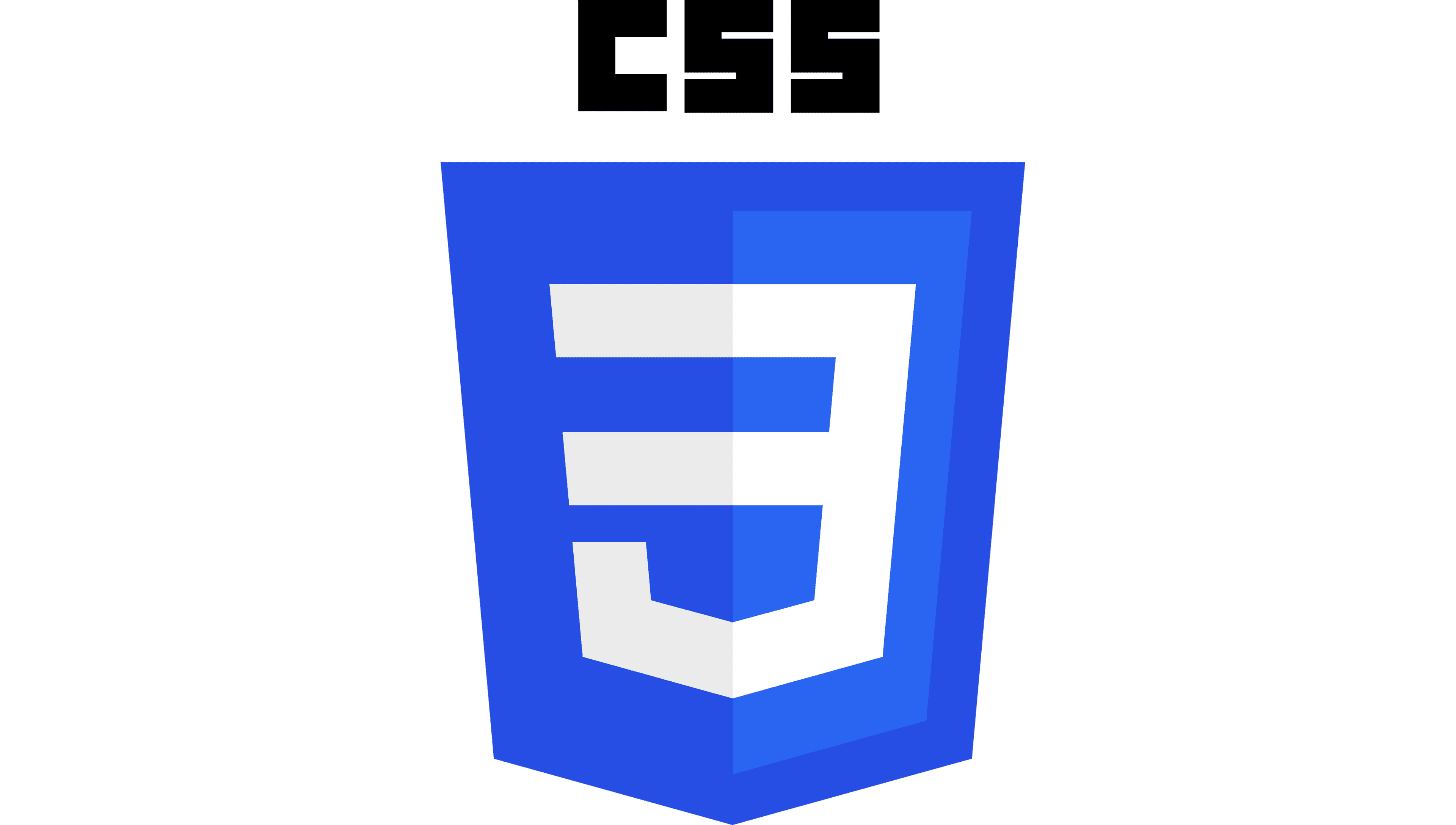 CSS-Logo